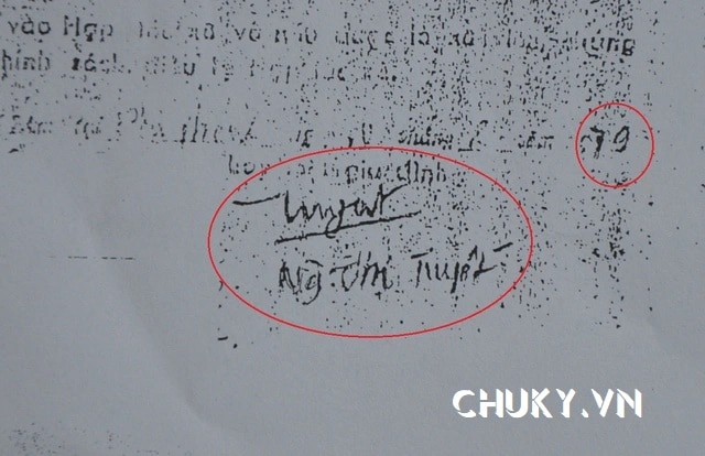 Chữ ký tên Nguyễn Thị Tuyết đẹp