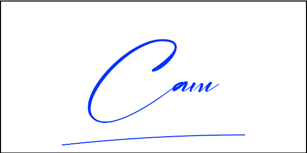 Chữ Ký Tên Cẩm, Cầm sáng tạo