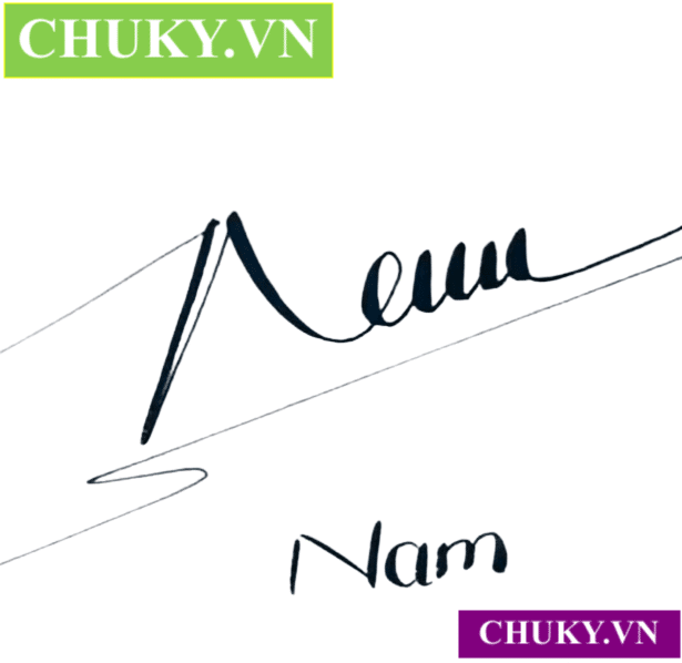 Mẫu chữ ký tên Nam đơn giản