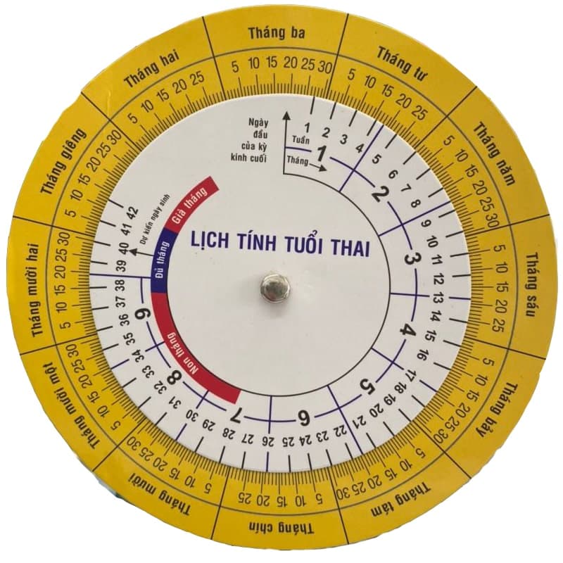 Vòng xoay tính tuổi thai Online