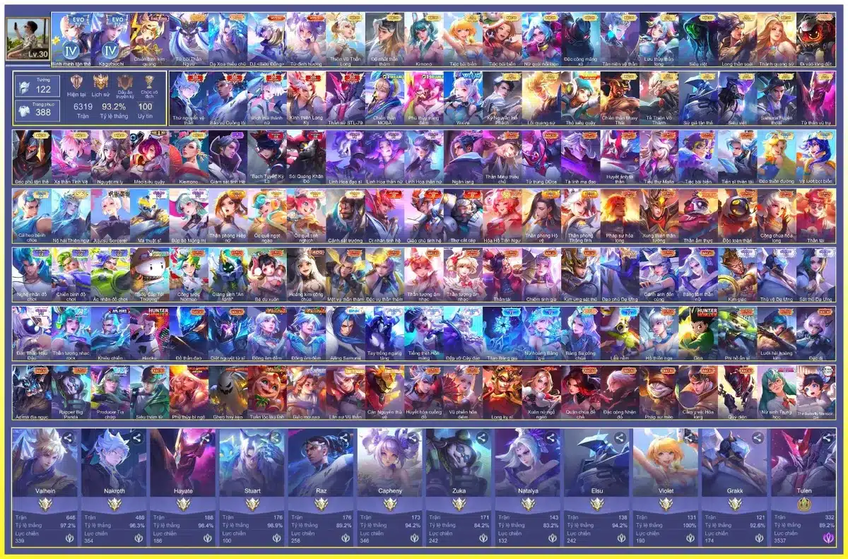 Ảnh acc lq vip full tướng