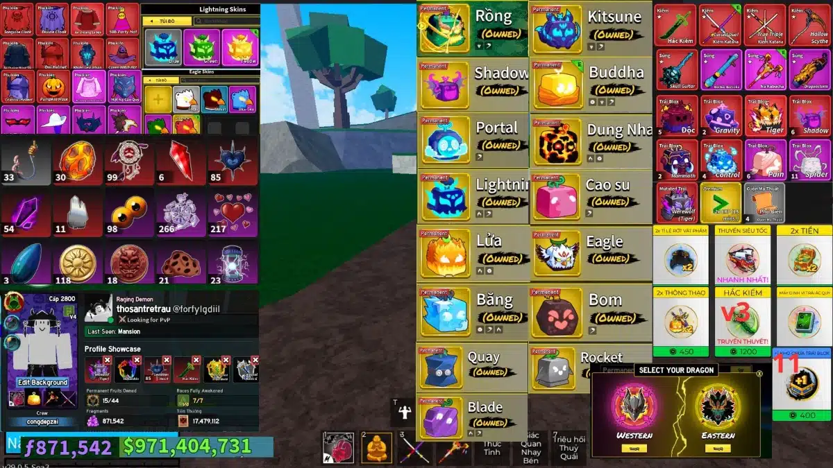 Cho Acc blox fruit level 2800 free