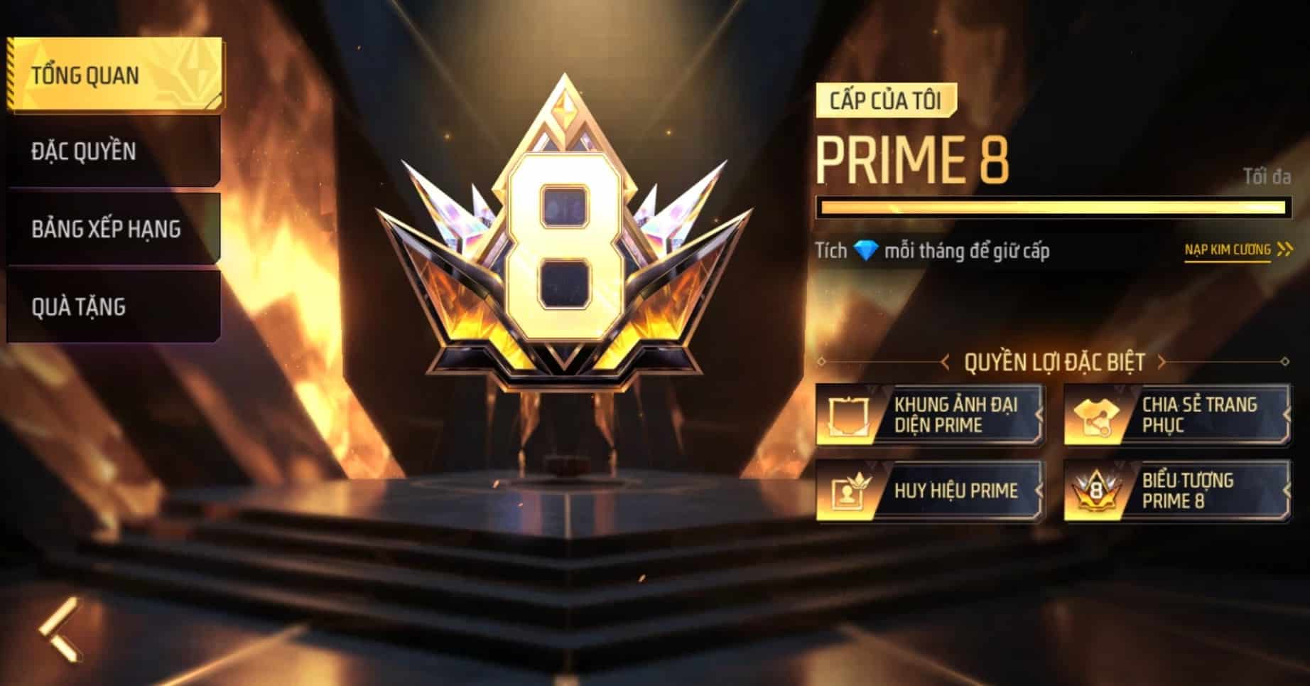 Acc FF VIP 8