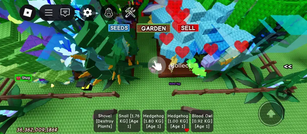 Ảnh acc Grow a Garden miễn phí