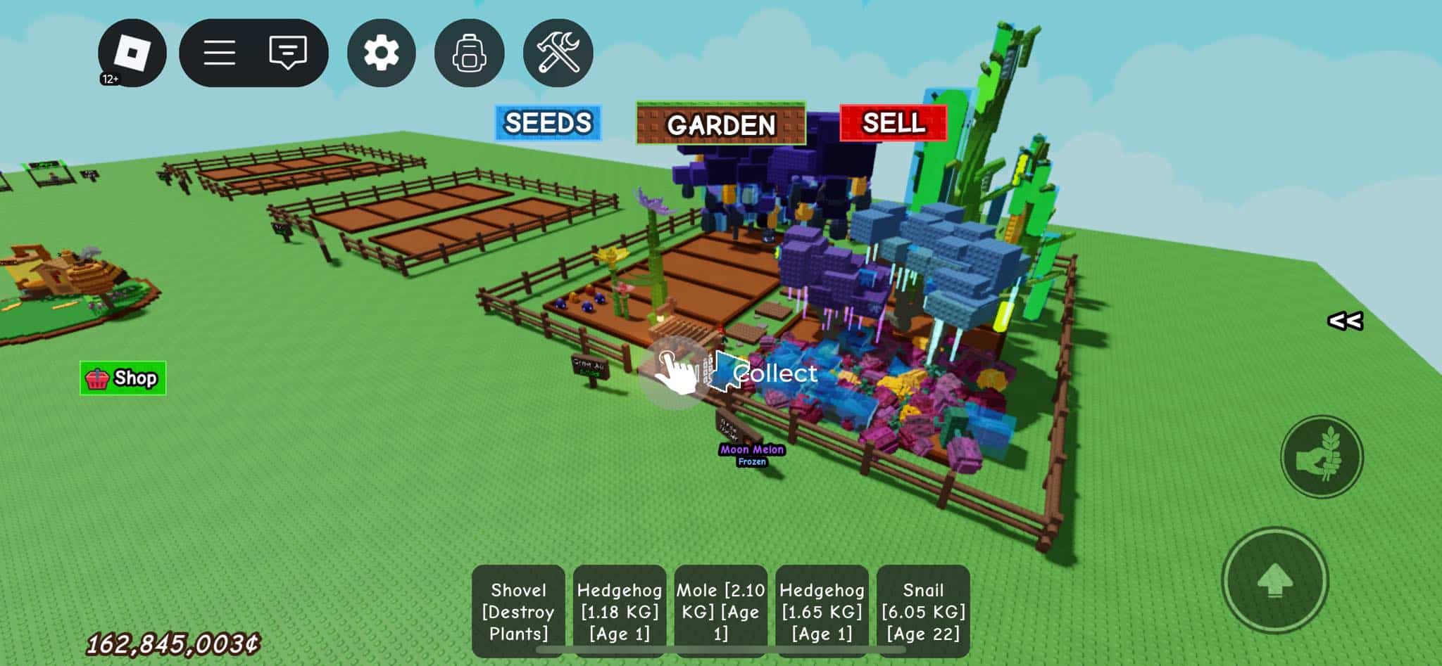 Hình Acc Grow A Garden VIP