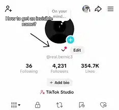 Tên Tiktok no name